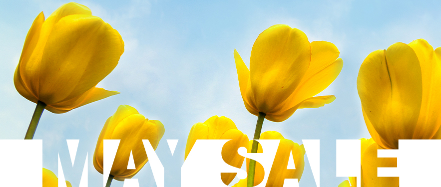 May Sale! -70%!