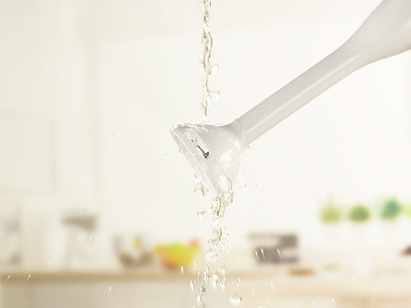 Delimano Joy Hand Blender